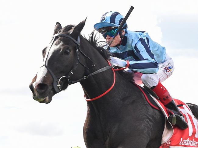 Onesmoothoperator (USA) ridden by Craig Williams wins the Ladbrokes Geelong Cup at Geelong Racecourse on October 23, 2024 in Geelong, Australia. (Pat Scala/Racing Photos via Getty Images)