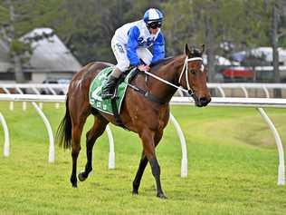 FAVOURITE: Jockey Jim Byrne is expected to continue his consistent recent form at Ipswich racetrack. Picture: Cordell Richardson