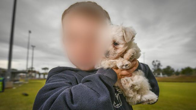 The four-year-old boy and his puppy were found safe after being left at a McDonalds carpark by Justice Naomi Lansdown and her partner Clayton Ryan Miles.