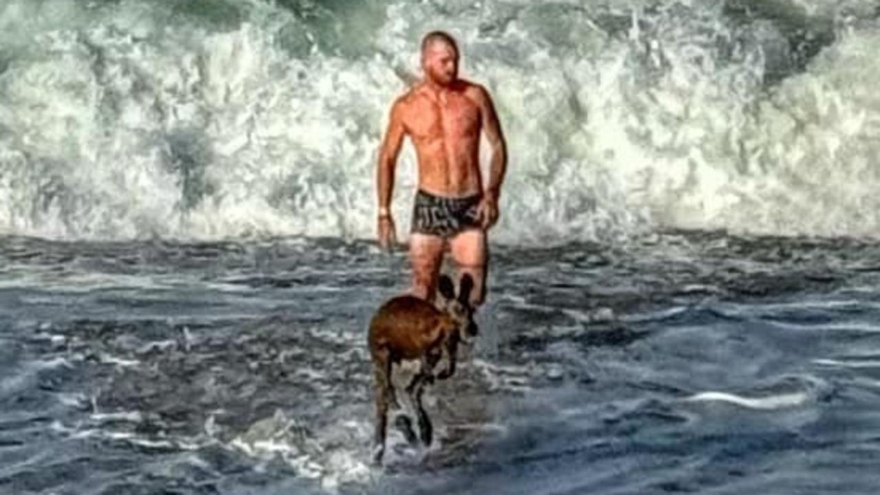 Man jumps into action to rescue roo from surf