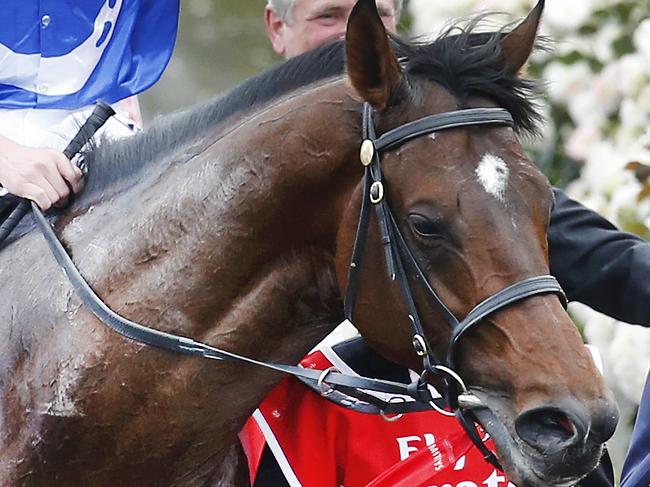 Melbourne Cup Day 2014 Main Race at Flemington Racecourse. Winner German horse Protectionist and rider Ryan Moore salute the crowd on return to scale. Picture: David Caird.