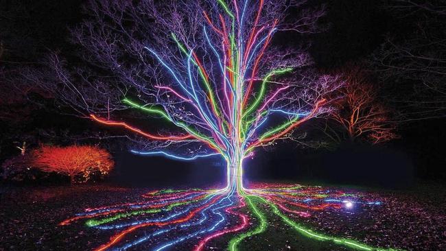 Lightscape, Royal Botanic Gardens, Sydney. Photo: Supplied