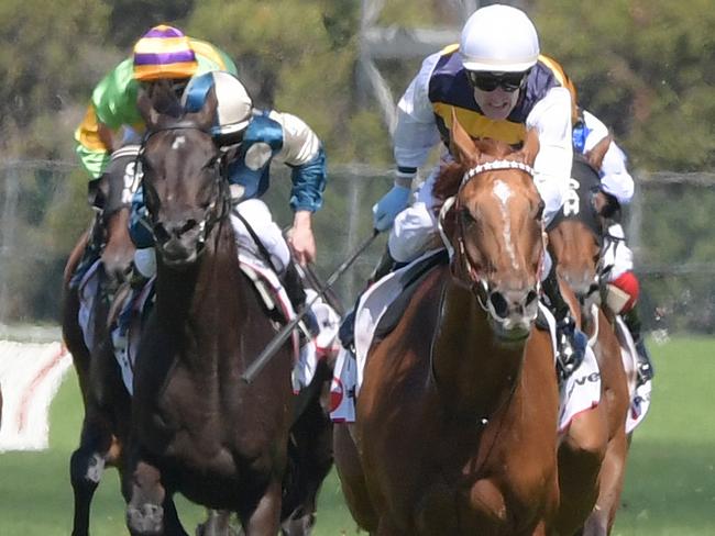 Race 4 - 2:05PM RANVET STAKES (2000 METRES).Winner 'Gailo Chop' ridden by Mark Zahra. Trained by Darren Weir.(News Corp/Simon Bullard)