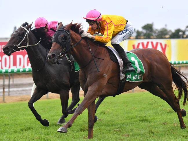 Jockey Baylee Nothdurft (right) rides All Pluck to victory in race 5, the Perfect Italiano Handicap during the QTIS Jewel Raceday at Aquis Park on the Gold Coast, Saturday, March 16, 2019, AAP Image/Darren England.