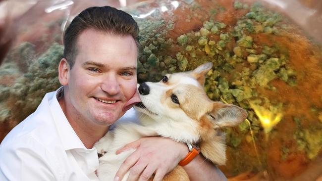 A NSW vet has blasted dog baiters.