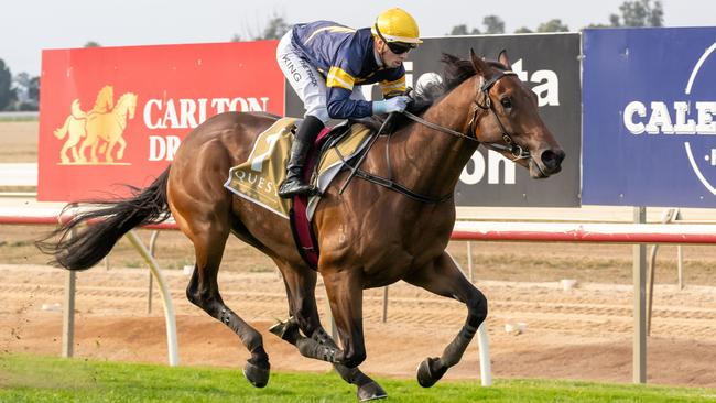 Enxuto, pictured winning at Echuca in May 2024, is Daniel Sankey's best bet of the day at Flemington on New Year's Day. Picture: Jay Town / Racing Photos