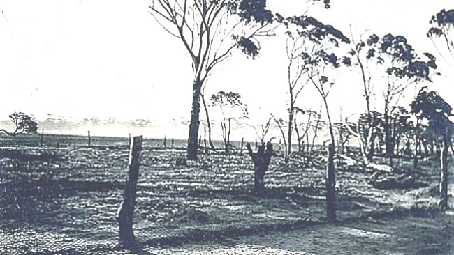 Barren farmland in Campion left by the marauding emus.