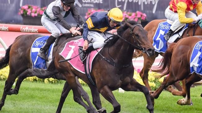 Arkansaw Kid ridden by Damien Oliver wins the Inglis Banner at Moonee Valley Racecourse on October 22, 2022 in Moonee Ponds, Australia. (Photo by George Sal/Racing Photos via Getty Images)