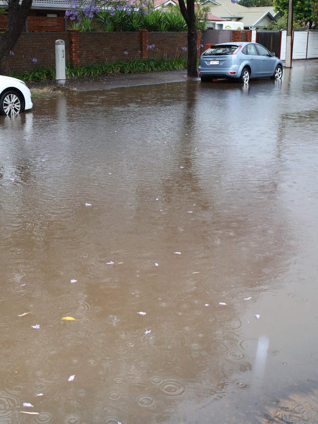 Water receding on Third Ave, Wayville. Picture: NCA NewsWIRE / Emma Brasier