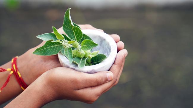 Ashwagandha helps your body cope with stress. Picture: iStock