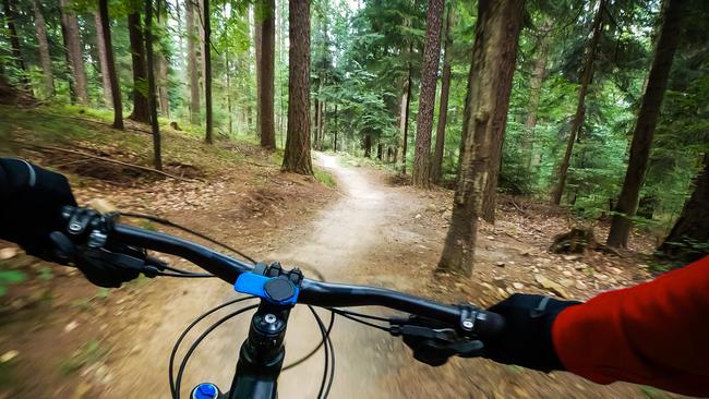 Bunya Mountain Bike Trails – WDRC