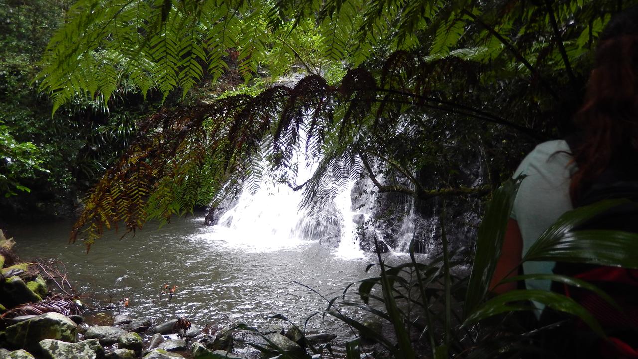 Backyard Tourist: Coomera Falls at Coomera Circuit, Binna Burra on