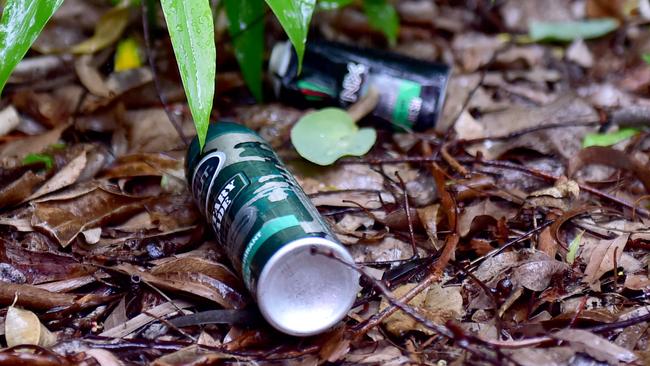 Empty deodorant cans discarded in a park after being used for chroming. Picture: Alix Sweeney