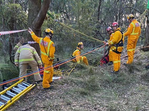 Man saved after being stuck 12m high up tree