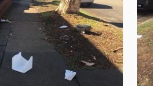 Unfortunately it is fast becoming the reality of everyday Campsie, Isabelle Whitington said.