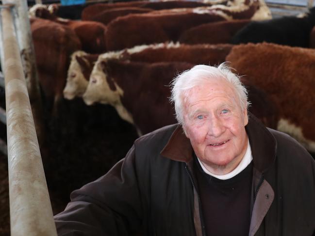 Leongatha Store cattle sale, VLE, Koonwarra, Patrick Clancy, 83, from Dromana, bought 13 herefords, #0417118075, first time at Leongatha sale, has been coming to Packenham sales all his life, Picture Yuri Kouzmin