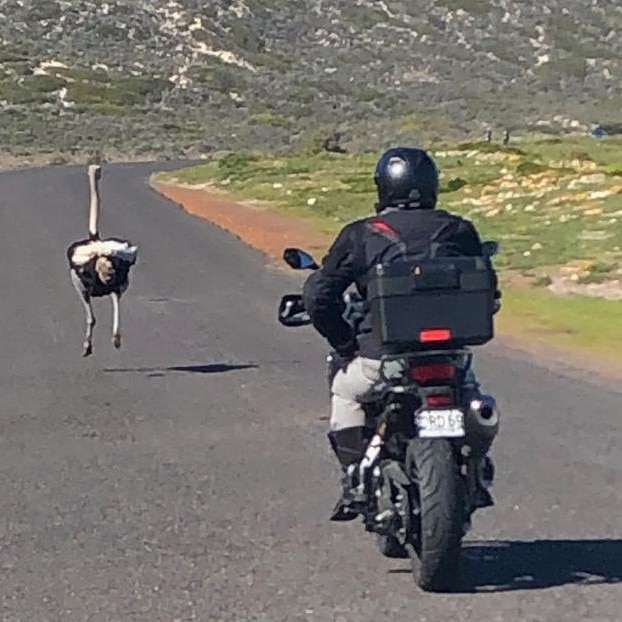 Columnist Rory Gibson riding a motorbike in Cape Town. Source: Instagram