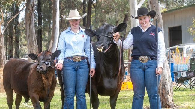 Sienna Grylls holding a bull calf, Grylls Trigger, and sister Jayde Grylls, holding a cow, Keringa Blue, at a recent show.