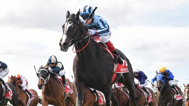 Onesmoothoperator hasn’t been passed to fit to race in the Melbourne Cup. Picture: Pat Scala/Racing Photos via Getty Images