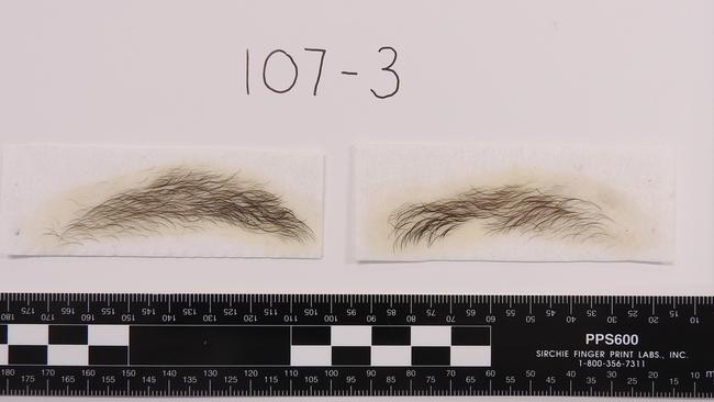 The set of eyebrows seized from John Ibrahim’s house in August 2017.