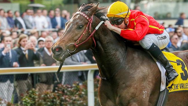 Chris Parnham and Voodoo Lad charge to victory at Moonee Valley. Picture: Colleen Petch