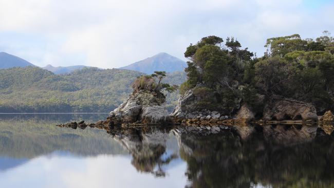 Celery Top Island, Bathurst Harbour, Port Davey, Tasmania's South West National Park. Picture: JENNIFER RIDDLE