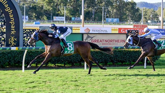 Hype has been a dominant force in North Queensland. Picture: Caught In The Act Photography CQ