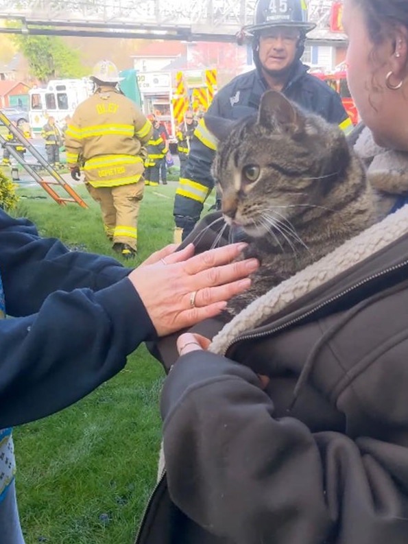 This heart-stopping rescue has a little happy ending for cat lover’s, too. Picture: Justin Steinmetz via Storyful