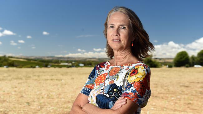 Friends of Port Willunga Chair Stephanie Johnston. Picture: Tom Huntley