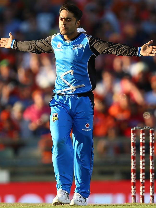 Rashid Khan celebrates a wicket for Adelaide.