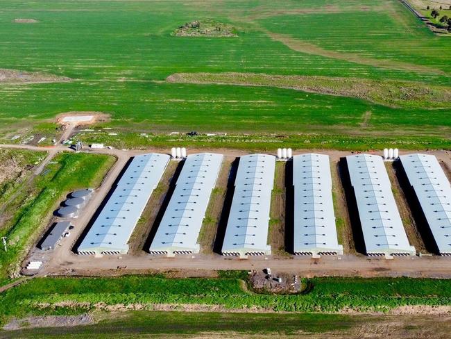 A broiler farm owned by Pavilion Farms which is the same as the proposed $13m farm in Anakie. Picture: Supplied