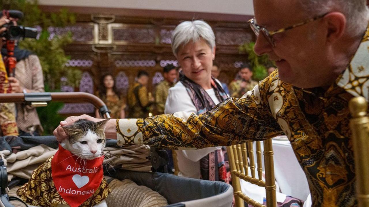 International relations with Indonesia have taken a diplomatic twist with Prime Minister Anthony Albanese gifting President Prabowo Subianto’s cat a scarf. picture : X