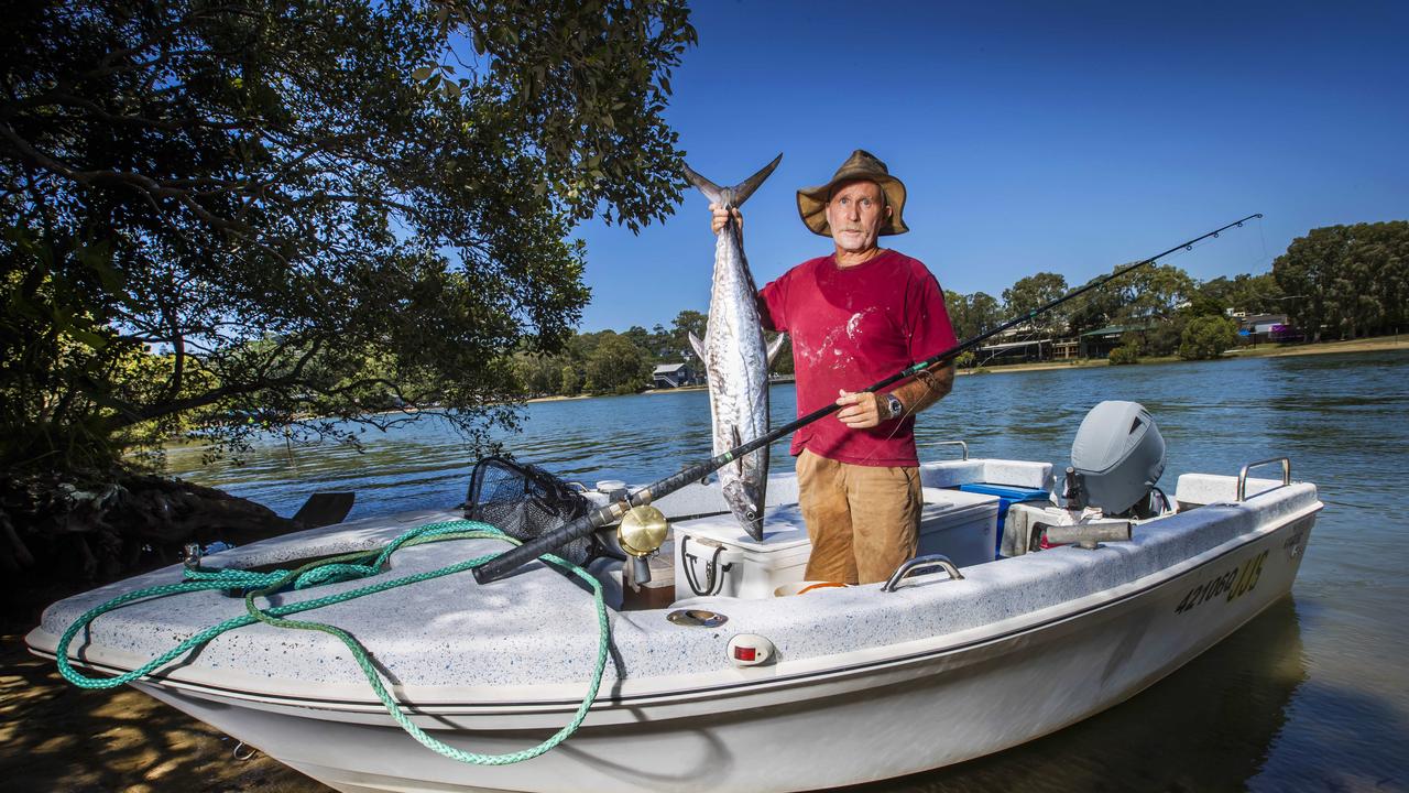 Mackerel prices expected to skyrocket as fishos face new catch quota ...