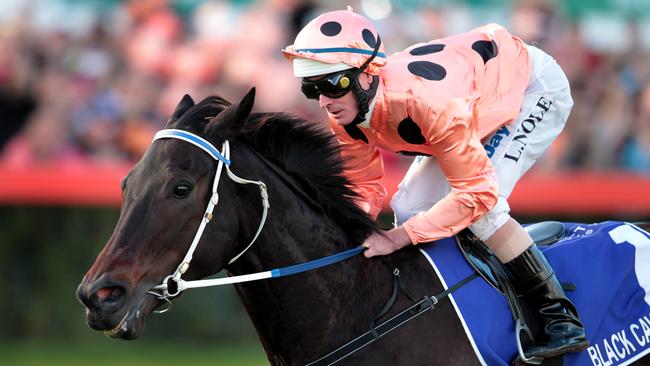 The great Black Caviar