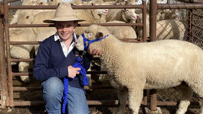 He may be just 13 but Sam Williams has established his own Poll Dorset stud at Culcairn, NSW.