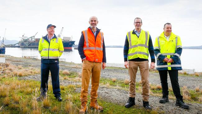 Tas Ports northern manager Mark Cooper, Energy Minister Guy Barnett, Minister for State Growth Michael Ferguson and Tas Ports CEO Anthony Donald at Bell Bay. Picture: PATRICK GEE