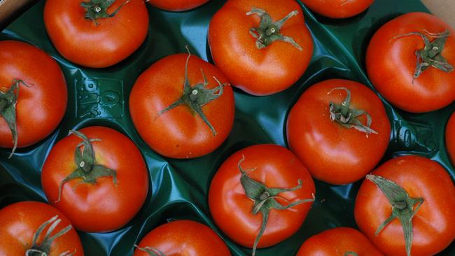 Tomatoes are a great “anytime” food packed with nutrients including lycopene. Picture: Keryn Stevens