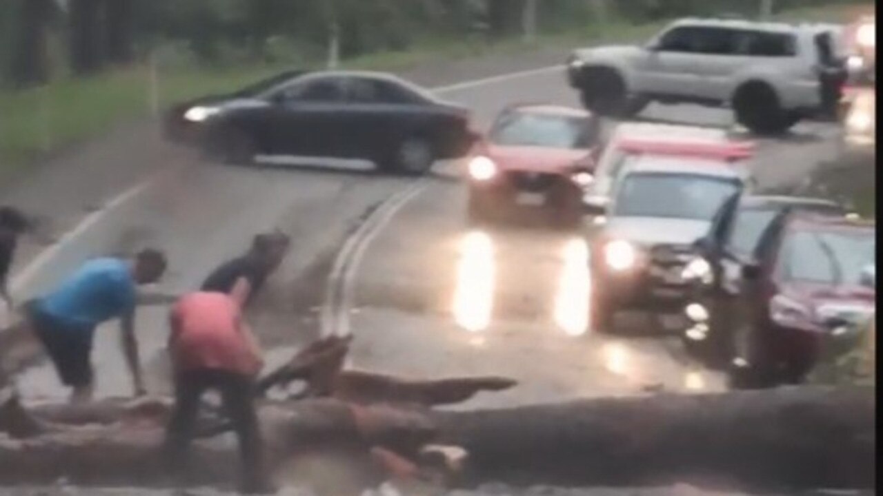 Tony Robinson captured workers trying to clear tree across Yurol Forest Dr shortly after storms rip across region on October 27, 2022