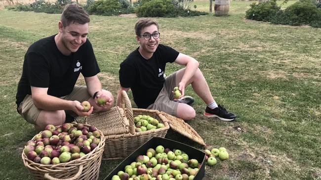 She’ll be apples: Tom and James Gurnett from South Gippsland’s Gurney’s Cider