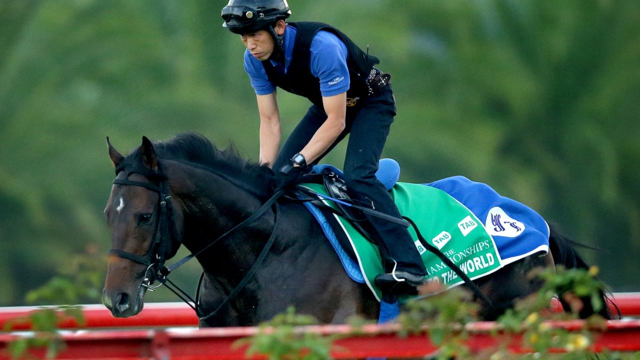 International Japan's To The World training at Canterbury Park ,Canterbury .Picture Gregg Porteous