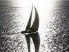 Two-handed crews ruled out of race for Sydney to Hobart win