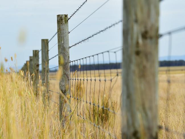 FARM: 90 Mile Biodynamic Steve Ronaldson runs 90 Mile Biodynamic cattle and sheep at Woodside beach.Pictured: Generic farm. Fence. Fencing. Ringlock and barbed wire.PICTURE: ZOE PHILLIPS