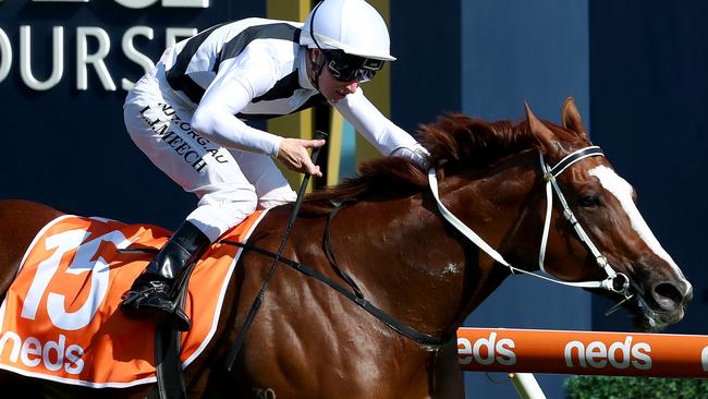 A daughter of Oakleigh Plate winners Snitzel and Pippie (pictured) will debut at Wednesday’s Sandown meeting. Picture: Getty Images