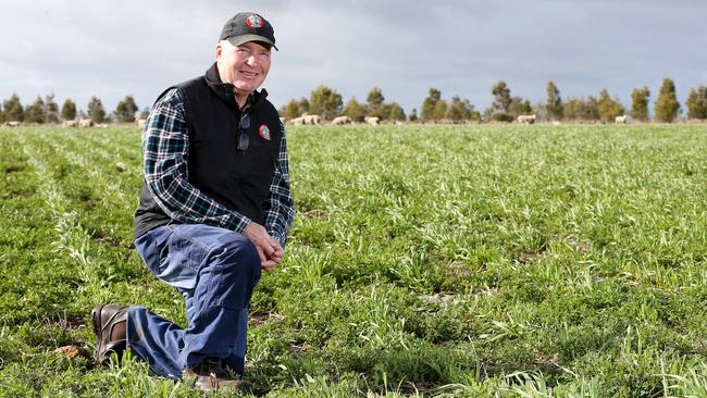 Data difference: Gordon Brown is firmly embracing technology on the 1215ha sheep and cropping property he manages west of Geelong. Picture: Andy Rogers