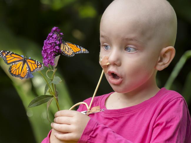 Mackenzie Young, 3, can't hide her excitement as she plays with the butterflies at the Royal Melbourne Zoo’s butterfly house. Picture: Jason Edwards