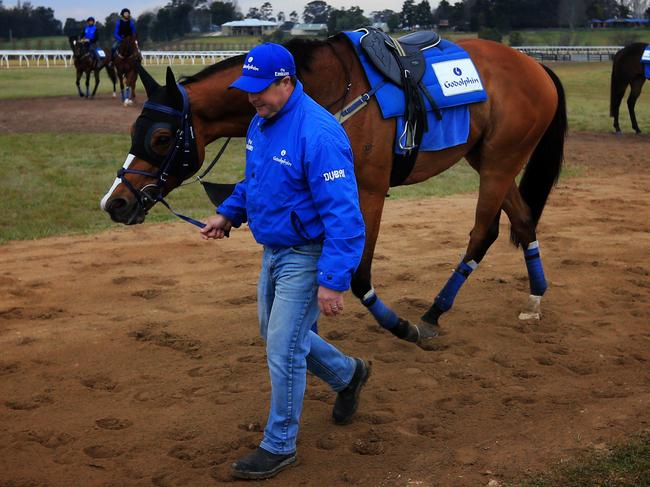 Darren Beadman leads Hartnell after early morning trackwork at Godolphin at Agnes Banks. pic Mark Evans