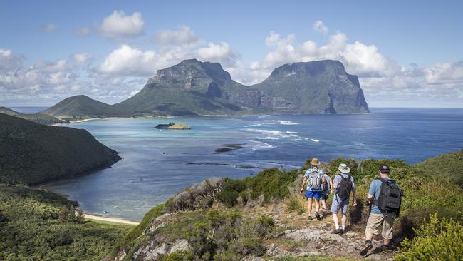 Great Walks of Australia’s Seven Peaks Walk by Pinetrees on Lord Howe Island