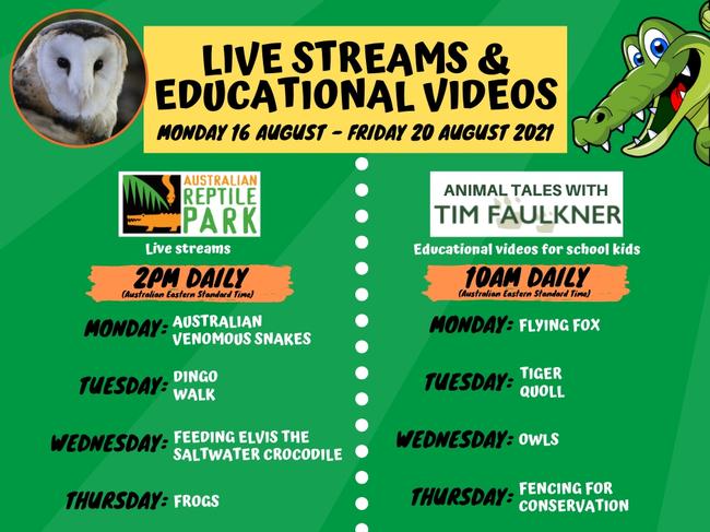 The Australian Reptile Park is offering live streams and educational videos.