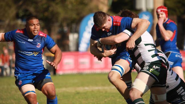 Manly stunned Warringah to win the Battle of the Beaches. Pic: Karen Watson.