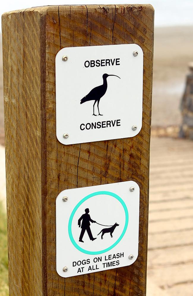 Nudgee Beach will remain an on-leash dog area.